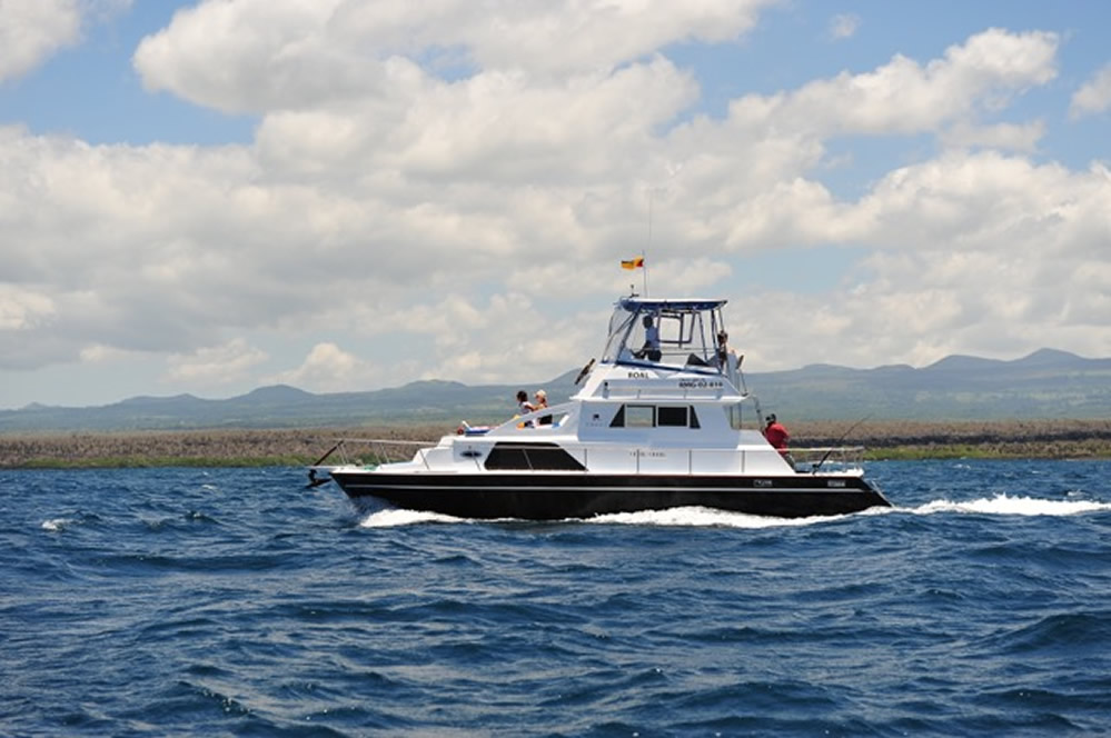 Sea Eco tourism