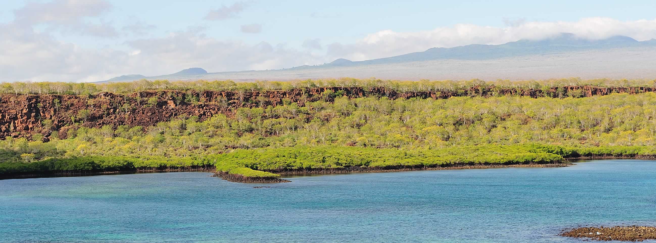 The Galapagos beaches