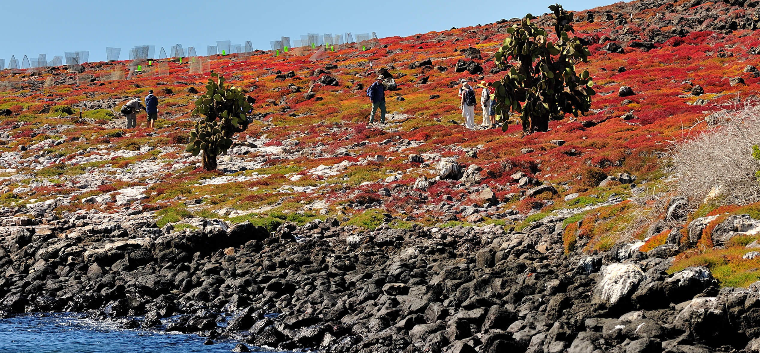 The Galapagos beaches