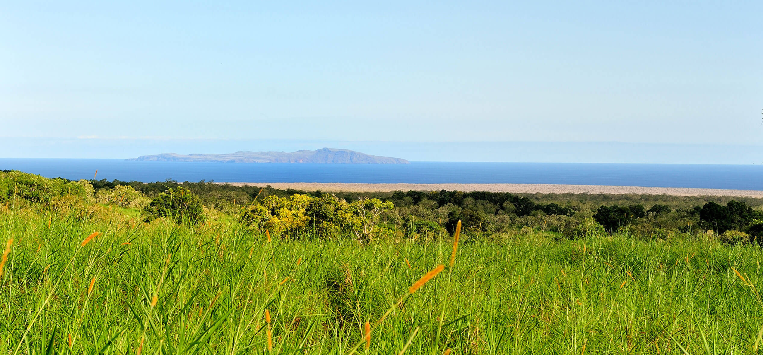 The Galapagos beaches