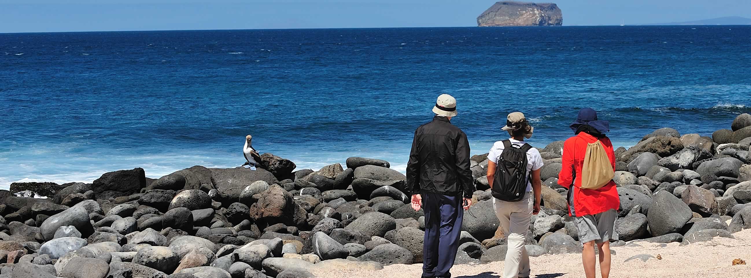 The Galapagos beaches