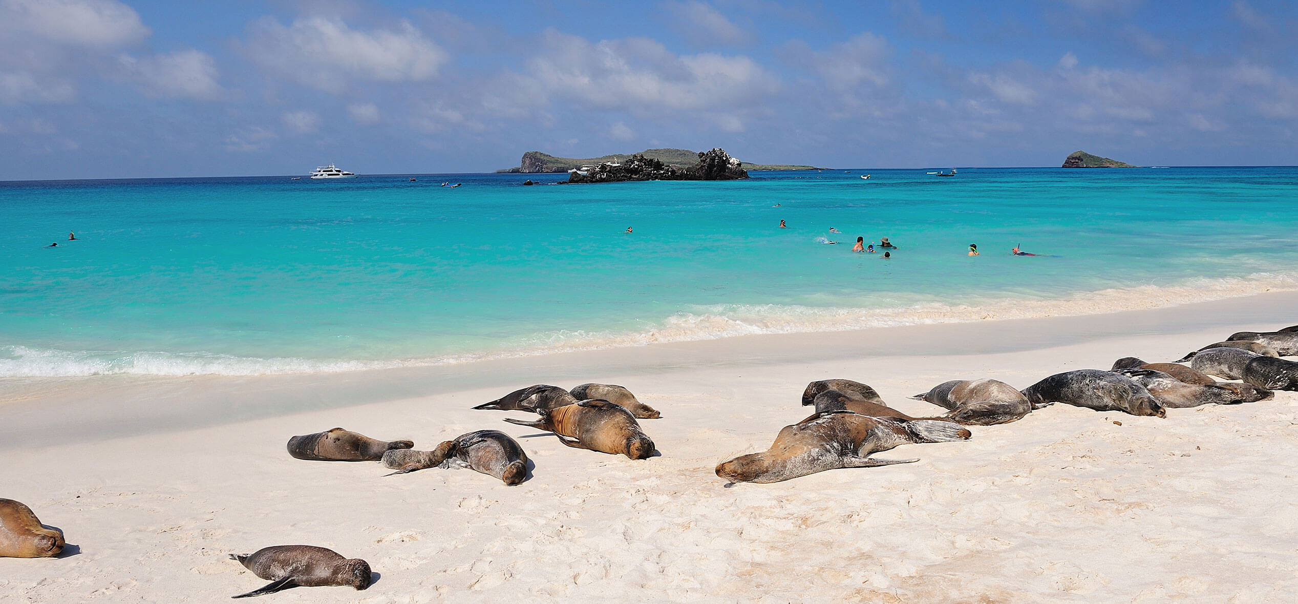 The Galapagos beaches