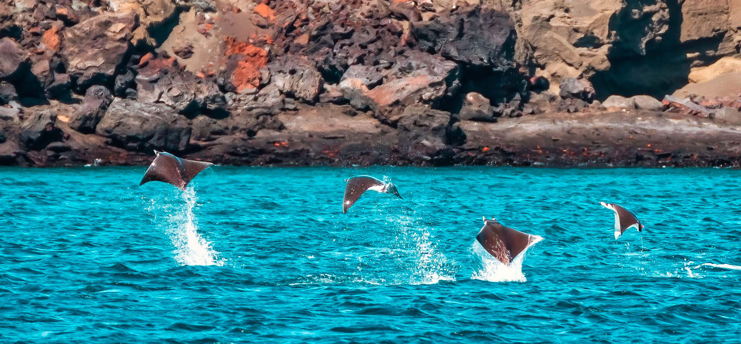 The Galapagos beaches