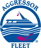 Aggressor