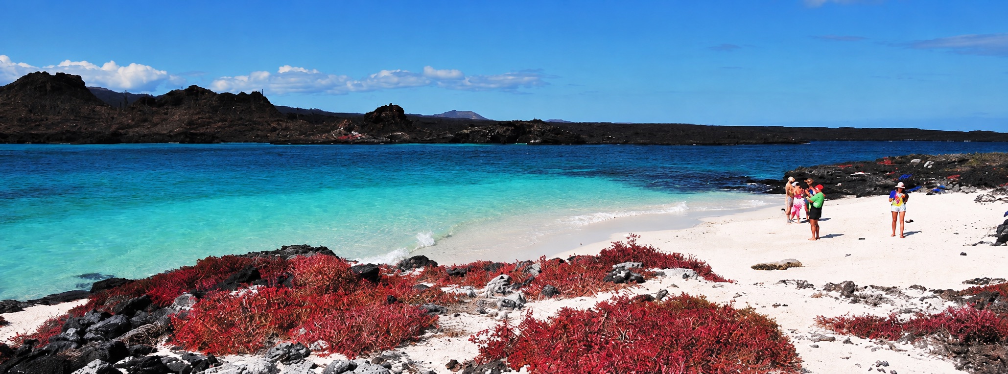 Santa Cruz Island Pikaia Lodge